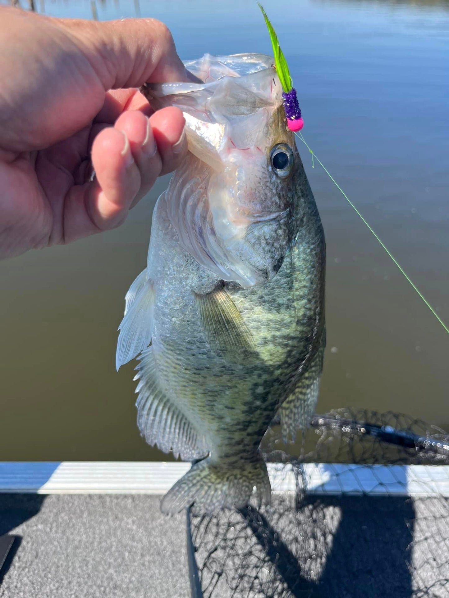 L and B Hand Tied Crappie Jigs #73